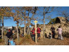 photo coins arrondis